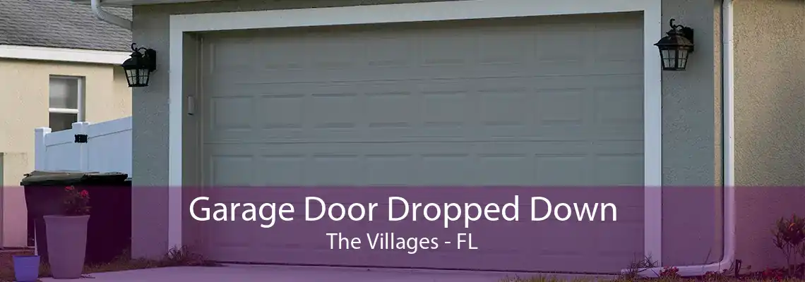Garage Door Dropped Down The Villages - FL