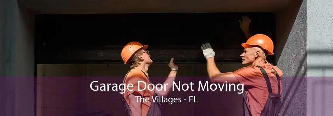 Garage Door Not Moving The Villages - FL