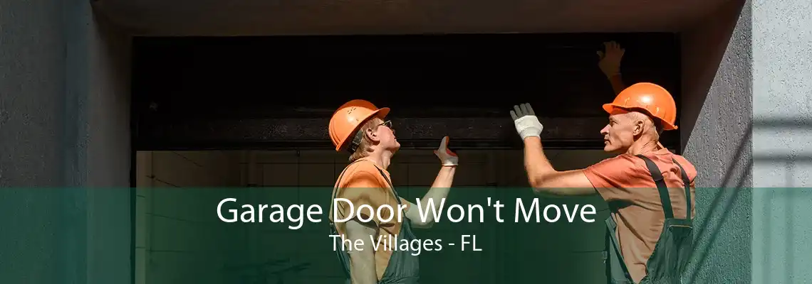 Garage Door Won't Move The Villages - FL